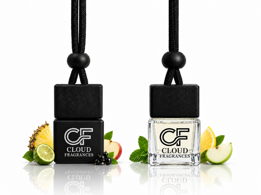 Car Hanging Air Diffuser