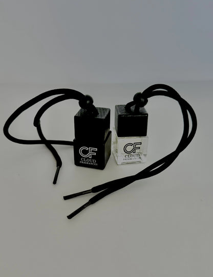 Car Hanging Air Diffuser